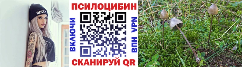 Псилоцибиновые грибы MAGIC MUSHROOMS  мега ТОР  Азов  цены наркотик 
