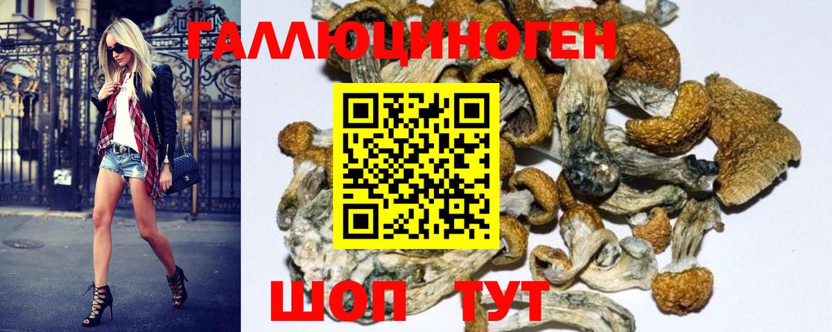 НБОМе  МЕТ  Азов  Меф кристаллы  Вход с VPN  МДМА  Гашиш  COCAIN  Наркошоп  Каннабис 